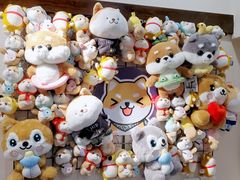 -逗柴咖啡屋·狗咖猫咖宠物桌游