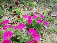 -保利万和影城(南昌中悦广场店)
