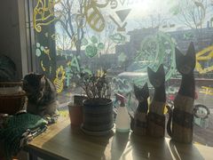 -平行世界·猫咖(首经贸店)