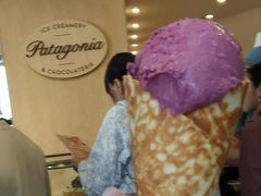 -Patagonia Chocolates(皇后镇店)