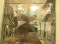 -龙猫仔乐园(惠福东路店)