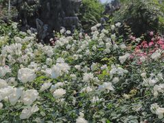 -人民公园(罗湖区)