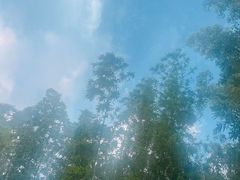 -复旦大学附属华山医院-停车场