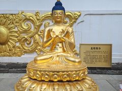-护国法轮寺
