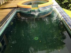 -黄色小屋