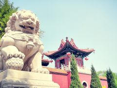 -大槐树寻根祭祖园