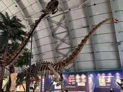 -辽宁古生物博物馆