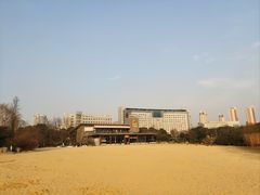 -青枫公园