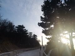 -红光山