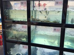 大堂-院8里·小乐园家常味川菜(鹭洲里店)