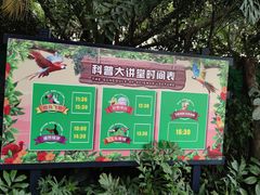 -广州长隆飞鸟乐园
