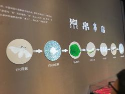 -太湖雪蚕桑文化园