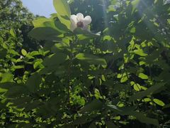 -天女山森林公园