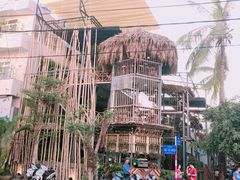 -Rainforest