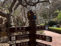 -大连植物园