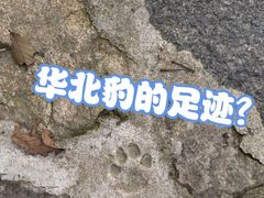 -驼梁风景区
