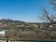 -白水寺森林公园