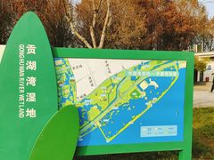 -贡湖湾湿地公园