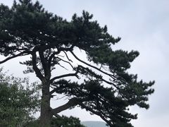 -妙峰山风景名胜区