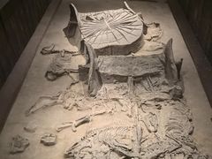 -北京大葆台遗址博物馆