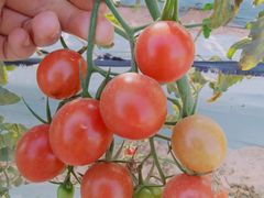 -任达丞国农庄(任达山庄店)