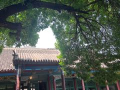 -张学良旧居陈列馆