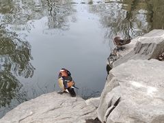 -近春园遗址