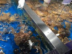 -盒马鲜生(杭州运河上街店)