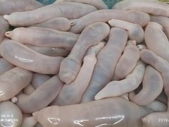 -渔民船说·北塘海鲜·天津菜·海肠捞饭(北塘古镇店)