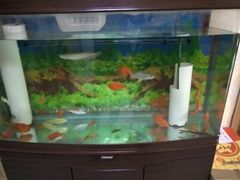 -三旗百汇商品城