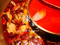 -哥老官重庆美蛙鱼头(宝山龙湖店)