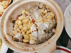 -1937青岛老味道·海肠捞饭·青岛菜(大鲍岛栈桥店)