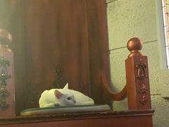 -逃脱反斗城沉浸剧情密室(北京路店)