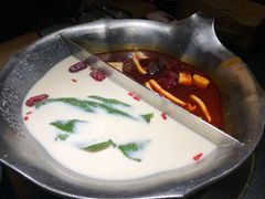 红颜花胶鸡锅-湊湊火锅·茶憩(石家庄万象城店)