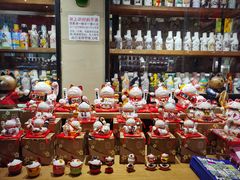 -猫咪博物馆(顶澳仔猫街店)