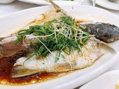 泉水浸鲩鱼-畔山酒店中餐厅