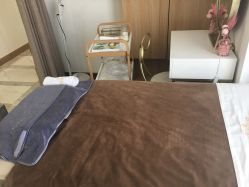 -归真美学颜究中心