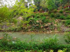 -广州白江湖森林公园