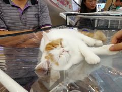 -凯德广场(学府店)