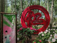 -仁和公园(顺义区)