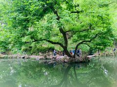 -惠山古镇·寄畅园