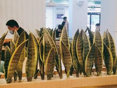 -老乡鸡(潘集世瑞大厦店)