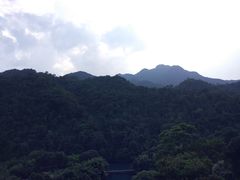 -鼎湖山风景区