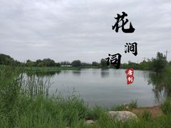 -南湖湿地公园