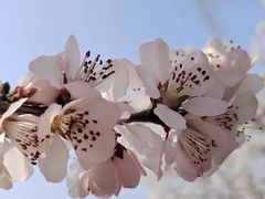 -居庸关长城