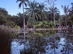 -中国科学院西双版纳热带植物园