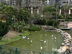 -石排湾郊野公园