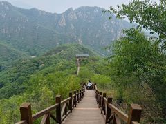 -大岭沟猕猴桃谷风景区