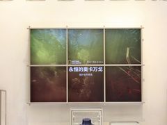 -DE BEERS 戴比尔斯(上海国金中心店)