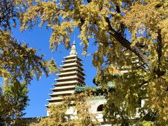-北京石刻艺术博物馆(五塔寺)